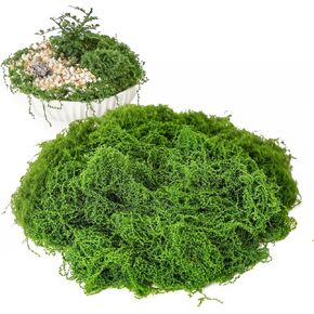 طحلب أخضر مزيف للنباتات بوعاء داخلي، طحلب صناعي 5.3 أونصة للحرف اليدوية، عشب صناعي مزخرف للمزارعين، صناعة النماذج، قطع الطاولة المركزية، الجدران، الزفاف، مرابي حيوانات، إكسسوارات الحديقة الخيالية in Kuwait