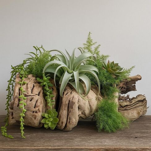 Koyal Wholesale 24" Hollow Grapewood Branch Decor 1Pcs Grapewood Centerpiece Vase Air Plants Sand Blasted Grapevine Wood Untreated Terrarium Wood Driftwood Decor in Saudi Arabia