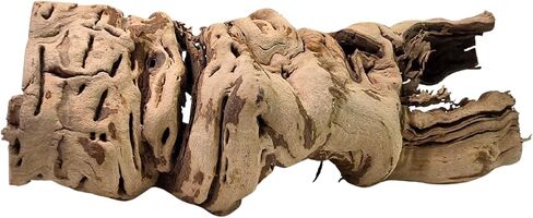 Koyal Wholesale 24" Hollow Grapewood Branch Decor 1Pcs Grapewood Centerpiece Vase Air Plants Sand Blasted Grapevine Wood Untreated Terrarium Wood Driftwood Decor in Saudi Arabia
