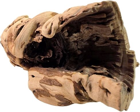 Koyal Wholesale 24" Hollow Grapewood Branch Decor 1Pcs Grapewood Centerpiece Vase Air Plants Sand Blasted Grapevine Wood Untreated Terrarium Wood Driftwood Decor in Saudi Arabia