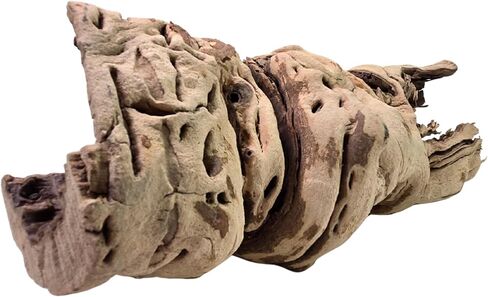 Koyal Wholesale 24" Hollow Grapewood Branch Decor 1Pcs Grapewood Centerpiece Vase Air Plants Sand Blasted Grapevine Wood Untreated Terrarium Wood Driftwood Decor in Saudi Arabia