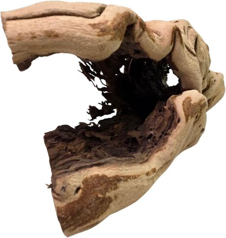 Koyal Wholesale 24" Hollow Grapewood Branch Decor 1Pcs Grapewood Centerpiece Vase Air Plants Sand Blasted Grapevine Wood Untreated Terrarium Wood Driftwood Decor in Saudi Arabia