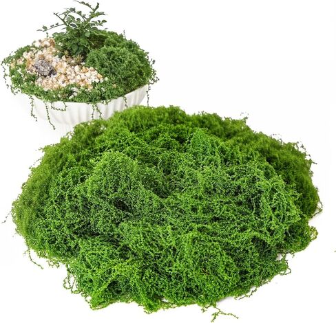 طحلب أخضر مزيف للنباتات بوعاء داخلي، طحلب صناعي 5.3 أونصة للحرف اليدوية، عشب صناعي مزخرف للمزارعين، صناعة النماذج، قطع الطاولة المركزية، الجدران، الزفاف، مرابي حيوانات، إكسسوارات الحديقة الخيالية in Kuwait