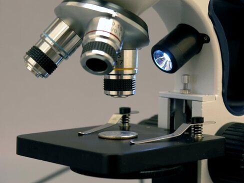 AmScope M158C-2L-PS25-WM مجهر أحادي مركب لاسلكي، عدسات WF10x وWF25x، تكبير 40x-1000x، إضاءة LED العلوية والسفلية مع مقاومة متغيرة، برايتفيلد، مكثف أحادي العدسة، تركيز محوري خشن ودقيق، مرحلة عادية، 110 فولت أو با in Saudi Arabia