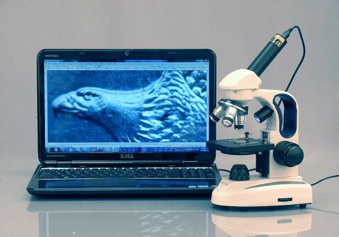 AmScope M158C-2L-PS25-WM مجهر أحادي مركب لاسلكي، عدسات WF10x وWF25x، تكبير 40x-1000x، إضاءة LED العلوية والسفلية مع مقاومة متغيرة، برايتفيلد، مكثف أحادي العدسة، تركيز محوري خشن ودقيق، مرحلة عادية، 110 فولت أو با in Saudi Arabia