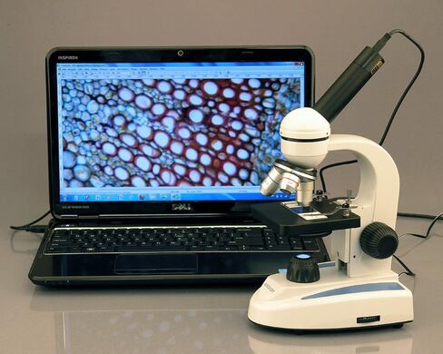 AmScope M149C-PS50-WM مجهر أحادي مركب، عدسات WF10x وWF25x، تكبير 40x-1000x، إضاءة LED، Brightfield، مكثف أحادي العدسة، مرحلة عادية، 110 فولت أو يعمل بالبطارية، إطار معدني عالي التحمل، يتضمن مجموعة من 50 شريحة مُجهزة in Saudi Arabia