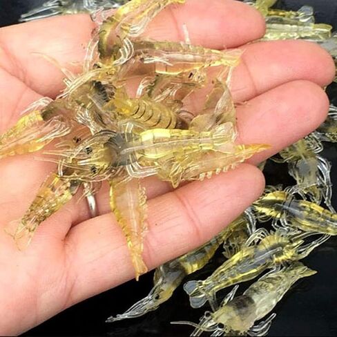10Pcs Simulation Fake Bait Grass Shrimp Lures 4cm Soft Shrimp Bait Fishing Gear, Fishing Soft Plastic Lures in Saudi Arabia