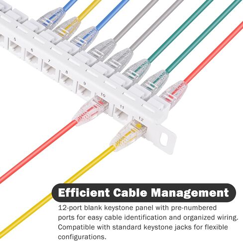 GeeekPi 10 بوصة 0.5U 12 منفذ لوحة تصحيح كيستون فارغة (أبيض) مع Cat6 RJ45 Keystone Jack Insert لخزانة الخدمة DeskPi RackMate T0/T1/T2 in Saudi Arabia