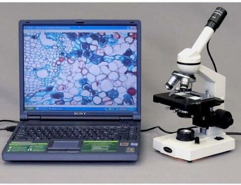 مجهر مركب أحادي العين AmScope M220B، عدسات WF10x وWF20x، تكبير 40x-800x، إضاءة التنغستن، Brightfield، مكثف NA Abbe 1.25، تركيز محوري خشن ودقيق، مرحلة ميكانيكية، 110 فولت in Saudi Arabia