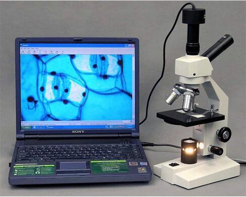 AmScope D120A-MS Dual-View Compound Monocular Microscope, WF10x and WF16x Objectives, 40X-1600X Magnification, Brightfield, 1.25 NA Abbe Condenser, Mechanical Stage in Saudi Arabia