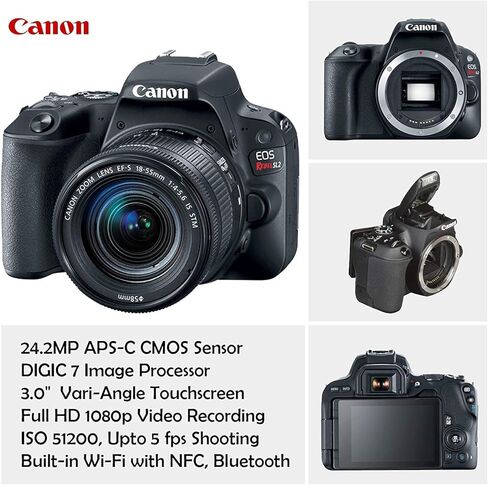 كاميرا Canon EOS Rebel SL2 الرقمية SLR مع عدسة Canon EF-S مقاس 18-55 مم هي عدسة STM + بطاقة ذاكرة Sandisk SDHC سعة 32 جيجابايت وحقيبة ظهر وحزمة ملحقات (متجددة) in Saudi Arabia