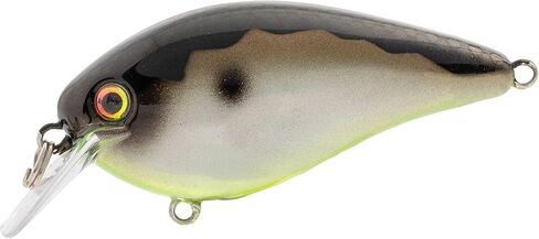 Strike King (HCKVD1.5E-427) KVD Elite 1.5 Squarebill, Shallow-Running Crankbait, Silent Hunting Action, 3/8-Ounce, Dives 3 to 6-Feet, Size 4 Mustad Triple Grip Treble Hooks, Mirage Gizzard Shad in Saudi Arabia
