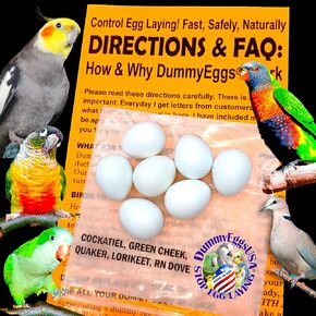 DummyEggs Brand Cockatiel Eggs Stop Laying 7 Plastic Solid Fake Eggs: Dove, Quaker, Green Cheek, USA