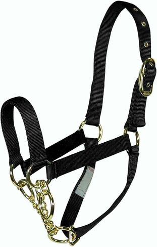 Hamilton Cow Control Nylon Halter with Chain, 10-Inch, Black in Saudi Arabia