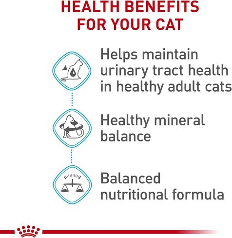 Royal Canin Feline Care Nutrition Urinary Care Adult Dry Cat Food, 6 lb bag in Kuwait