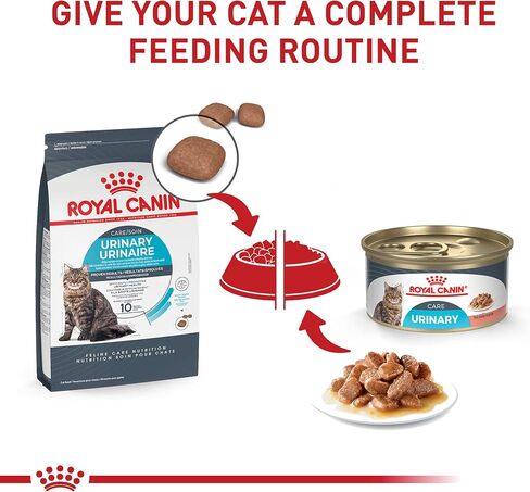 Royal Canin Feline Care Nutrition Urinary Care Adult Dry Cat Food, 6 lb bag in Kuwait