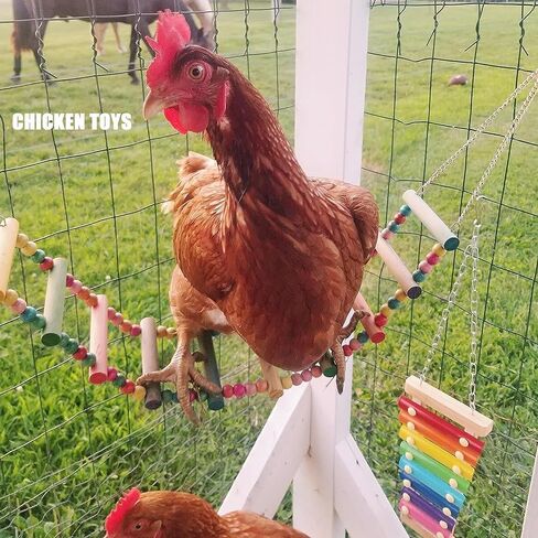 ألعاب الدجاج - مجموعة ألعاب الدجاج بتصميم مضحك للعبور - مواد عالية الجودة، سهلة التركيب للدجاج in Kuwait