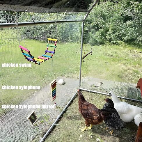 ألعاب الدجاج - مجموعة ألعاب الدجاج بتصميم مضحك للعبور - مواد عالية الجودة، سهلة التركيب للدجاج in Kuwait