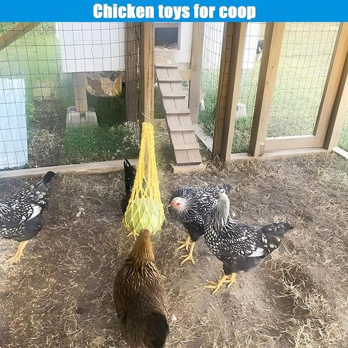 ألعاب الدجاج - مجموعة ألعاب الدجاج بتصميم مضحك للعبور - مواد عالية الجودة، سهلة التركيب للدجاج in Kuwait
