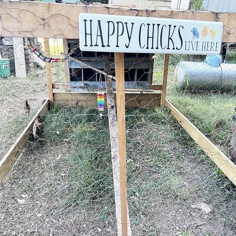 ألعاب الدجاج - مجموعة ألعاب الدجاج بتصميم مضحك للعبور - مواد عالية الجودة، سهلة التركيب للدجاج in Kuwait