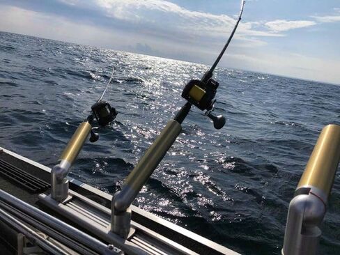 Aluminum 6 inch mounting Track System, Made in The USA- Compatible with Traxstech, Berts, Cannon, Cisco for Mounting Rod Holders, Fishing, and Other Boating Accessories in Saudi Arabia