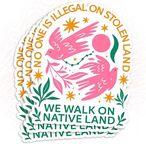 (3Pcs-3") No One is Illegal On Stolen Land Stickers, We Walk On Native Land No Human is Illegal Immigrant Waterproof Vinyl Sticker for Laptop Water Bottle Tumbler Decal Gifts for Her Him 3 Inches in Saudi Arabia