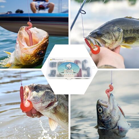 خطافات صيد السمك من OROOTL Panfish Crappie، مجموعة خطافات طويلة 150 قطعة من خطافات أبردين عالية الكربون من الصلب سلك خفيف لصيد الأسماك لسمك السلمون المرقط وسمك السلور وسمك الشمس وسمك المياه العذبة والمياه المالحة 8 # 6 # 4 # 2 # 1 # 1/0 in Saudi Arabia