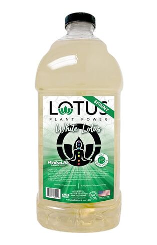 Lotus Plant Power 5:1 Energy Concentrate 64 fl. oz. (Skinny Gold) Pack of 2 (Packaging May Vary) in Saudi Arabia