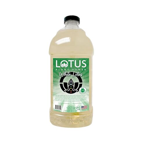 Lotus Plant Power 5:1 Energy Concentrate 64 fl. oz. (Skinny Gold) Pack of 2 (Packaging May Vary) in Saudi Arabia