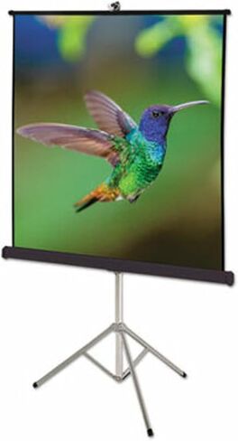 Quartet Portable Tripod Projection Screen, 70" x 70", High-Res, Matte Surface (570S) in Saudi Arabia