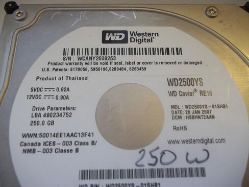 Western Digital WD 250GB SATA2 Bulk/OEM Hard Drive WD2500YS in Saudi Arabia