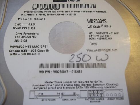 Western Digital WD 250GB SATA2 Bulk/OEM Hard Drive WD2500YS in Saudi Arabia