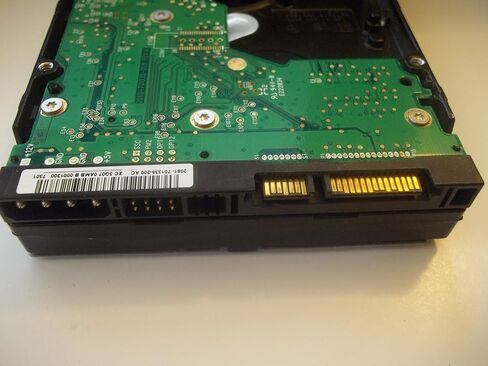 Western Digital WD 250GB SATA2 Bulk/OEM Hard Drive WD2500YS in Saudi Arabia