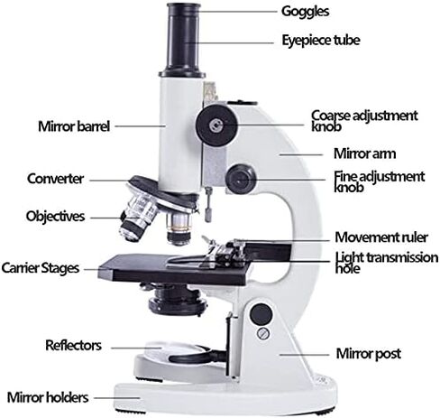 مجهر أحادي العين، أنبوب مستقيم أحادي العين بإمالة 45 درجة مع مشبك قبضة، مجاهر بيولوجية قوية in Kuwait