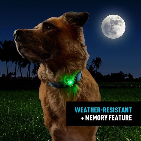 Nite Ize NiteDog ضوء الحيوانات الأليفة القابل لإعادة الشحن - ضوء للكلاب بتصميم مقاوم للطقس - مثالي للمشي والتخييم والمزيد - تقنية القرص O (عبوتان) in Kuwait