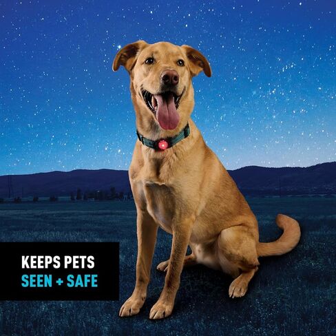 Nite Ize NiteDog ضوء الحيوانات الأليفة القابل لإعادة الشحن - ضوء للكلاب بتصميم مقاوم للطقس - مثالي للمشي والتخييم والمزيد - تقنية القرص O (عبوتان) in Kuwait