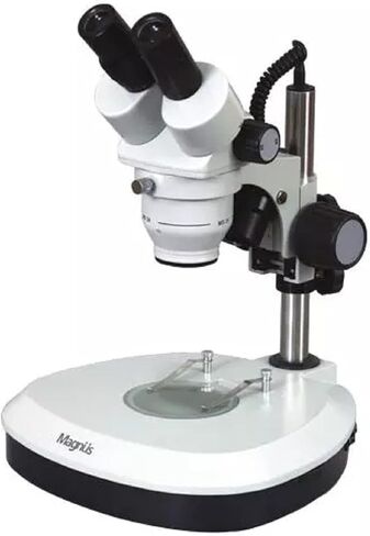 MS24 Binocular Stereo Microscope with Illumination-Halogen/Fluoroscent. in Saudi Arabia