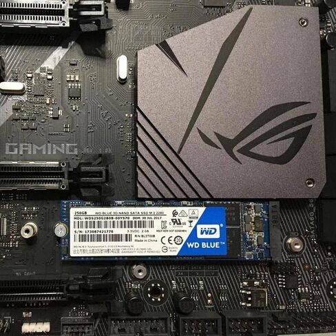 WD Blue SA510 2.5" SATA SSD in Saudi Arabia