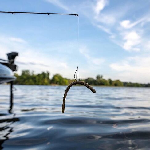 Rapala CrushCity Janitor in Saudi Arabia