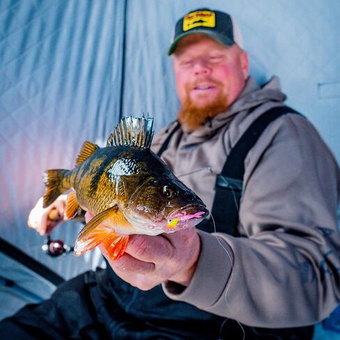 Northland Fishing Tackle Impulse Rigged Tungsten Mayfly Jig for Ice Fishing Panfish - This Hook Makes For the Pefect Fishing Gear - This Soft Lure Is Great For Many Freshwater Fish (Woodtick, 1/16 Oz) in Saudi Arabia