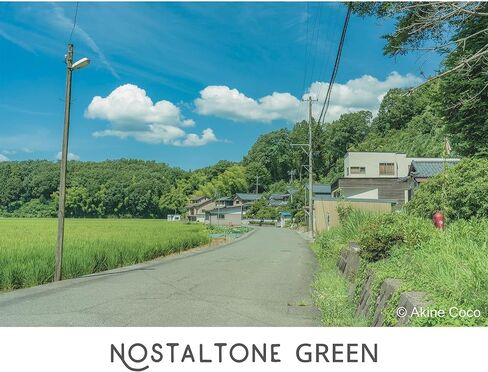 Kenko Soft Effect Filter NOSTALTONE Green φ82mm, with Color Effect, for Contrast Adjustment, Made in Japan, 182291 in Saudi Arabia