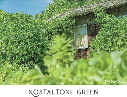 Kenko Soft Effect Filter NOSTALTONE Green φ82mm, with Color Effect, for Contrast Adjustment, Made in Japan, 182291 in Saudi Arabia