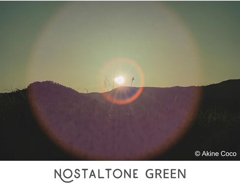 Kenko Soft Effect Filter NOSTALTONE Green φ82mm, with Color Effect, for Contrast Adjustment, Made in Japan, 182291 in Saudi Arabia