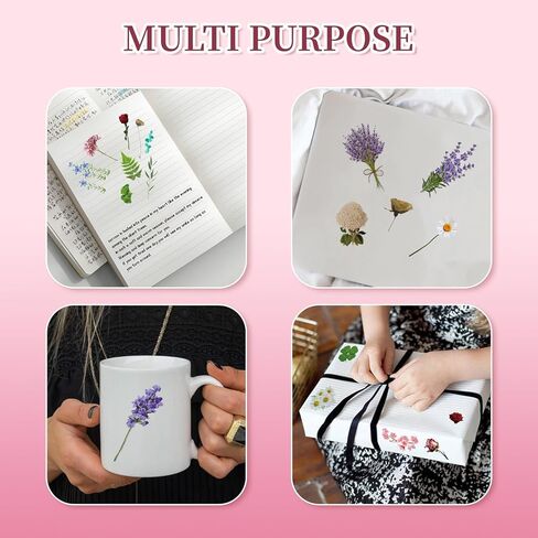 160 Piece Flower Scrapbooking Stickers Transparent Plants Flower Stickers Vintage for DIY Scrapbook Photo Album Collection Laptop Planner in Saudi Arabia