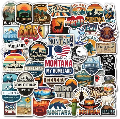 50 Pcs Minnesota Stickers US State Vinyl Decal Waterproof Travel Sticker Laptop Water Bottle Luggage Scrapbooking Journal Tablet Phone Cup Skateboard Bike Helmet Gifts for Teens Adults in Saudi Arabia