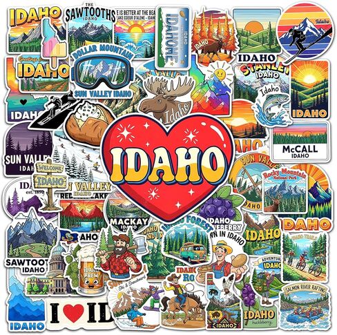 50 Pcs Minnesota Stickers US State Vinyl Decal Waterproof Travel Sticker Laptop Water Bottle Luggage Scrapbooking Journal Tablet Phone Cup Skateboard Bike Helmet Gifts for Teens Adults in Saudi Arabia