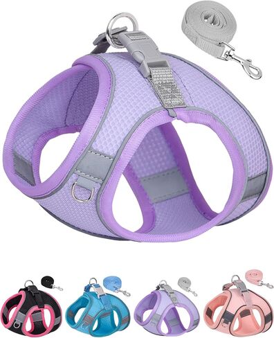 Dog Harness for Small Medium Sized Dog, Step in Puppy Harness and Leash Set Training Walking. (Blue, XXS) in Saudi Arabia
