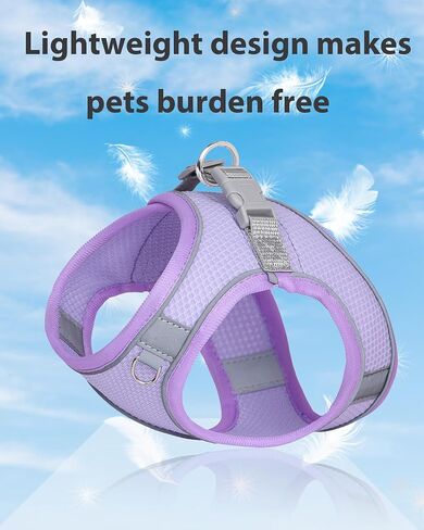 Dog Harness for Small Medium Sized Dog, Step in Puppy Harness and Leash Set Training Walking. (Blue, XXS) in Saudi Arabia