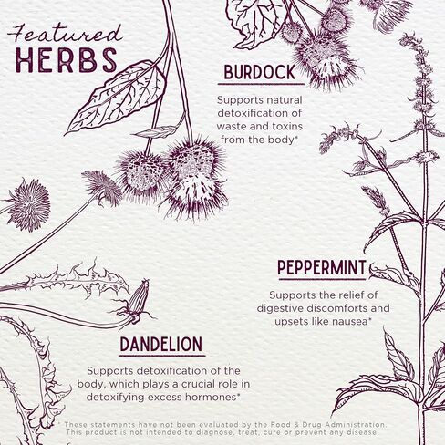 WishGarden Herbs Morning Sickness Nausea Support - All-Natural Herbal Morning Sickness Support Supplement with Peppermint Leaf & Cardamom, First Trimester Support for Pregnant Women, 2oz in Saudi Arabia