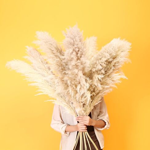 Pampas Grass 7 Various Boho Wedding Home Table Fall Decor Dried Flowers Arrangements White & Natural Dried Pampas Grass, Reed Grass, Bunny Tails Grass(40cm A) in Saudi Arabia